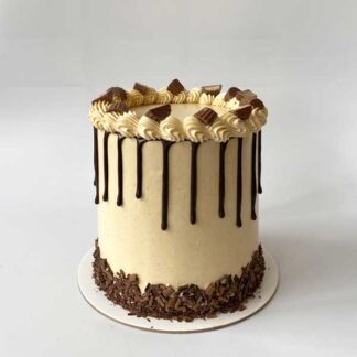 Peanut Butter Chocolate Cake