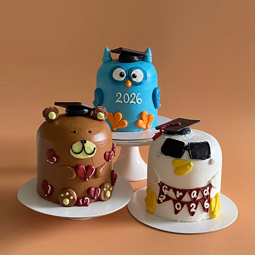 Graduation Buddy Cake