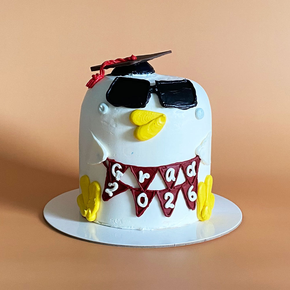Graduation Buddy Cake - Image 4